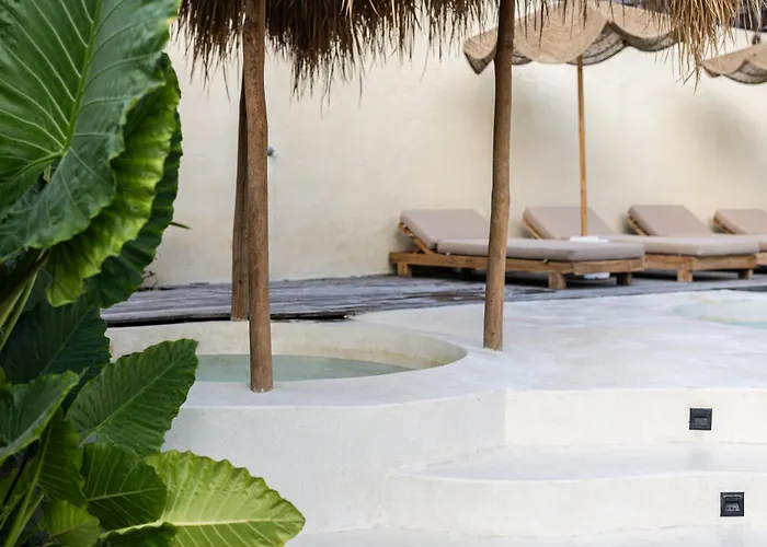 Lulu's Wellness Boutique *