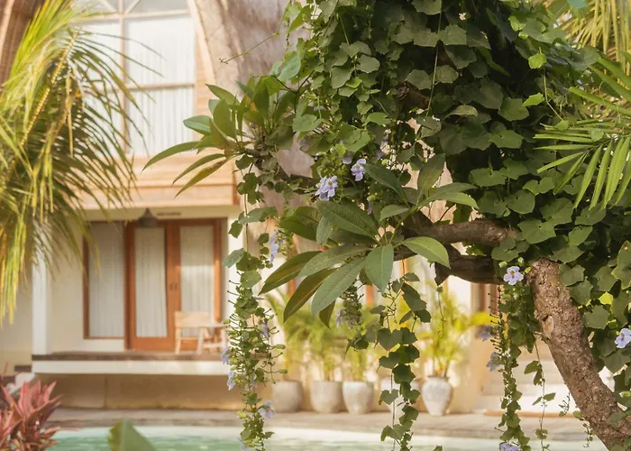 Hotel Lulu's Wellness Boutique