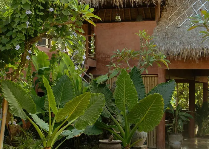 Hotel Lulu's Wellness Boutique